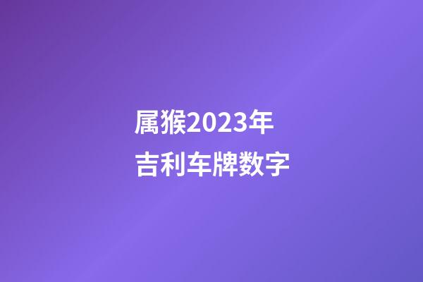 属猴2023年吉利车牌数字