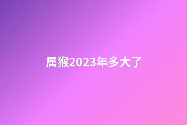 属猴2023年多大了
