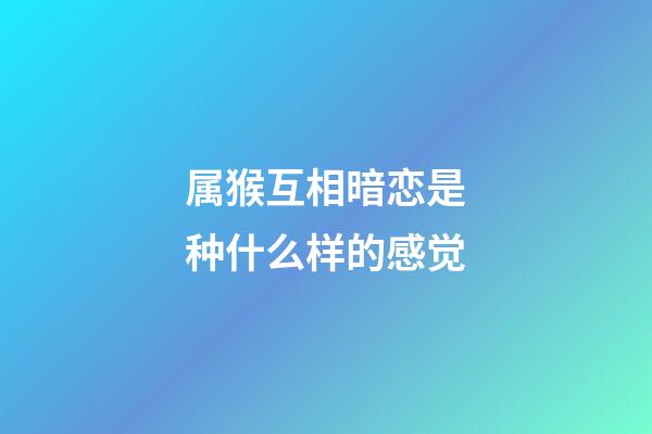 属猴互相暗恋是种什么样的感觉