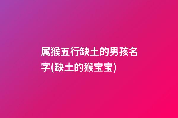 属猴五行缺土的男孩名字(缺土的猴宝宝)