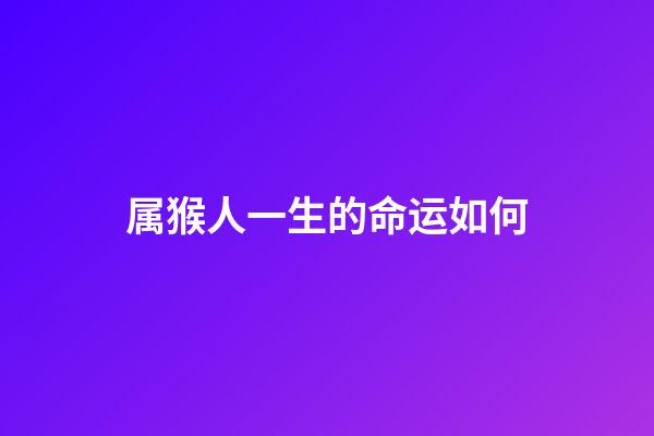 属猴人一生的命运如何