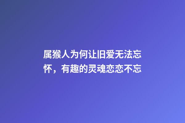属猴人为何让旧爱无法忘怀，有趣的灵魂恋恋不忘
