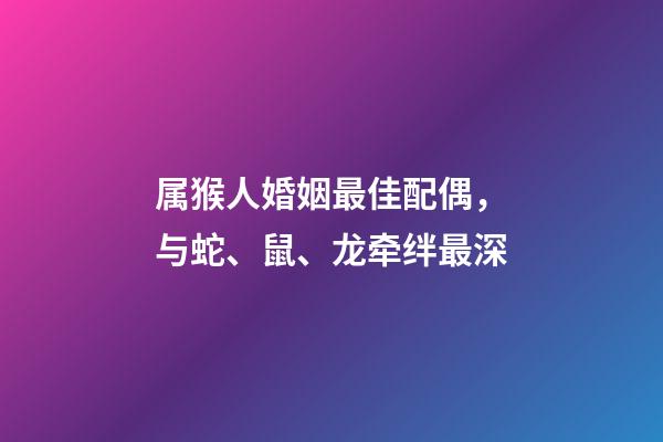 属猴人婚姻最佳配偶，与蛇、鼠、龙牵绊最深