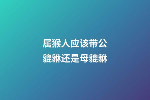 属猴人应该带公貔貅还是母貔貅