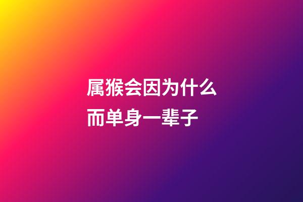 属猴会因为什么而单身一辈子