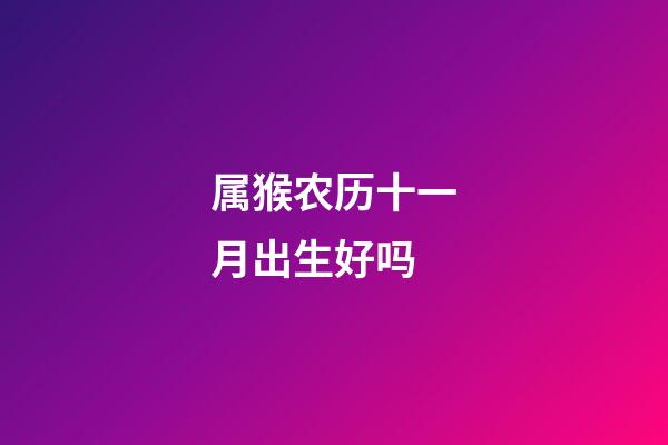 属猴农历十一月出生好吗