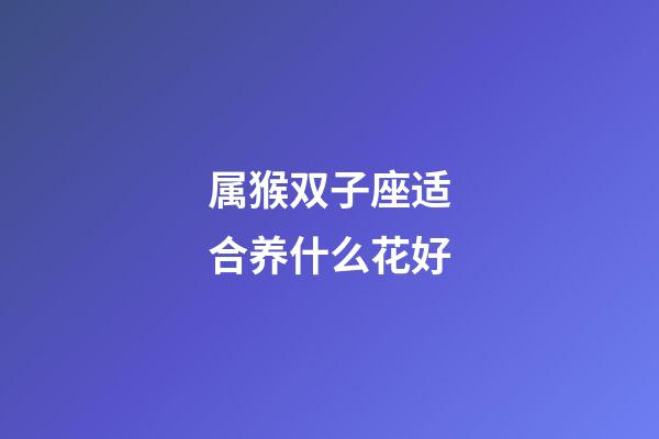 属猴双子座适合养什么花好-第1张-星座运势-玄机派