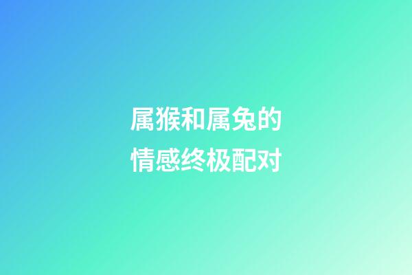 属猴和属兔的情感终极配对