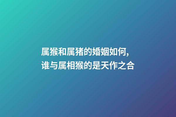 属猴和属猪的婚姻如何,谁与属相猴的是天作之合-第1张-观点-玄机派