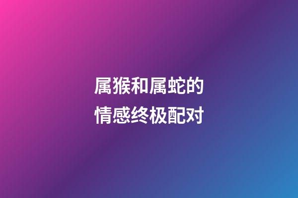 属猴和属蛇的情感终极配对
