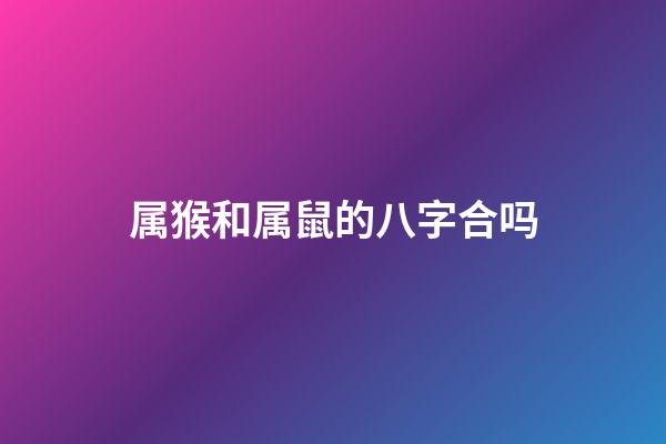 属猴和属鼠的八字合吗