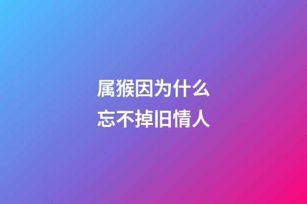 属猴因为什么忘不掉旧情人