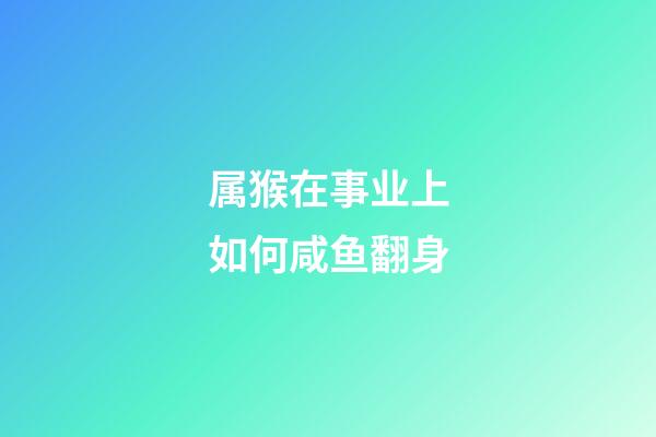 属猴在事业上如何咸鱼翻身