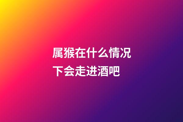 属猴在什么情况下会走进酒吧