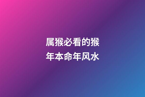 属猴必看的猴年本命年风水