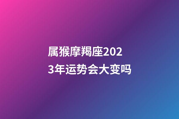 属猴摩羯座2023年运势会大变吗