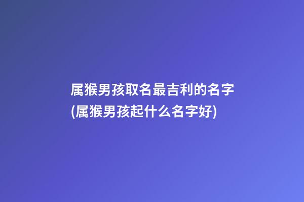 属猴男孩取名最吉利的名字(属猴男孩起什么名字好)