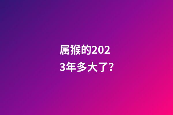 属猴的2023年多大了？