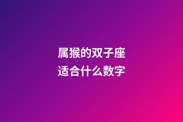 属猴的双子座适合什么数字-第1张-星座运势-玄机派