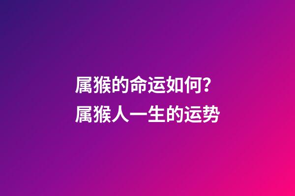 属猴的命运如何？属猴人一生的运势