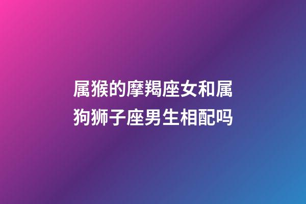 属猴的摩羯座女和属狗狮子座男生相配吗-第1张-星座运势-玄机派