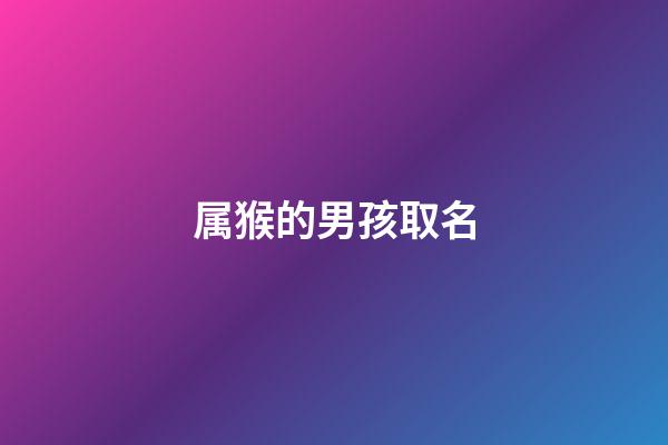 属猴的男孩取名