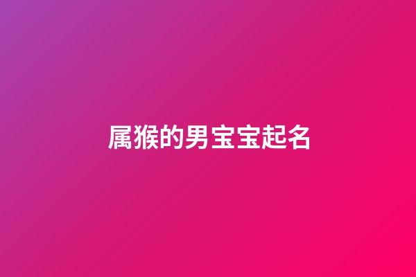 属猴的男宝宝起名