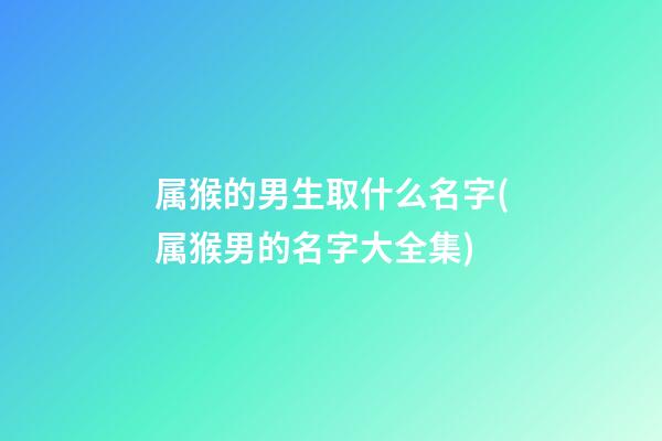 属猴的男生取什么名字(属猴男的名字大全集)