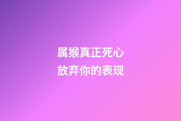 属猴真正死心放弃你的表现