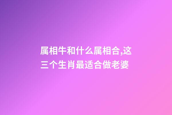 属相牛和什么属相合,这三个生肖最适合做老婆-第1张-观点-玄机派
