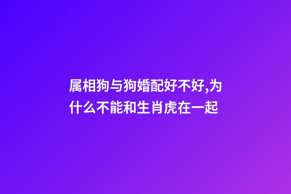 属相狗与狗婚配好不好,为什么不能和生肖虎在一起-第1张-观点-玄机派