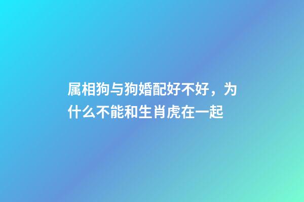 属相狗与狗婚配好不好，为什么不能和生肖虎在一起-第1张-观点-玄机派