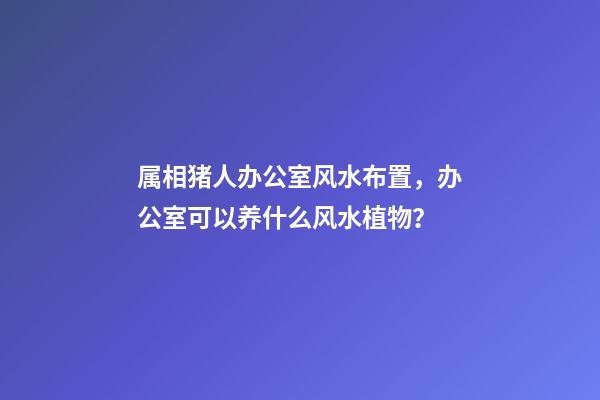 属相猪人办公室风水布置，办公室可以养什么风水植物？