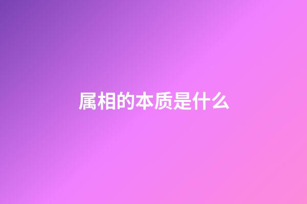 属相的本质是什么