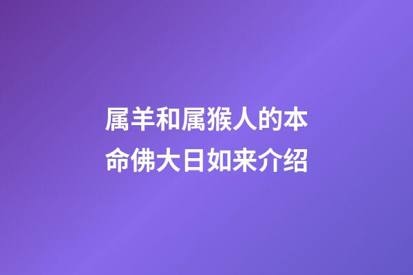 属羊和属猴人的本命佛大日如来介绍