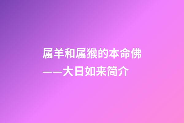 属羊和属猴的本命佛——大日如来简介