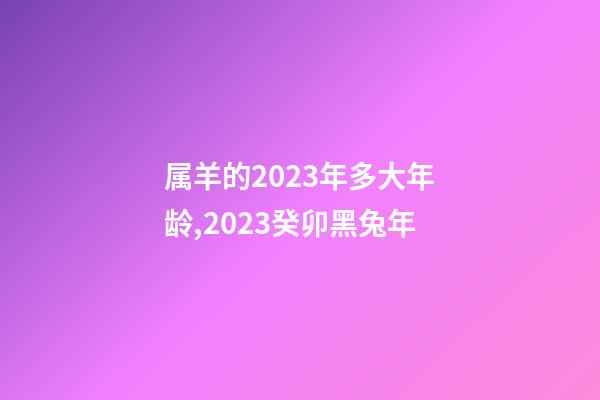属羊的2023年多大年龄,2023癸卯黑兔年-第1张-观点-玄机派