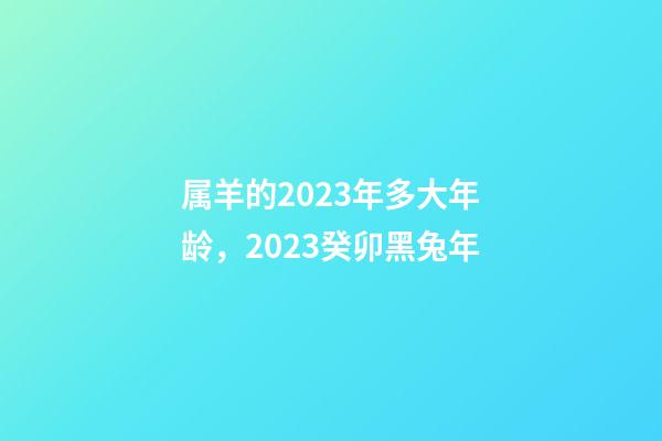 属羊的2023年多大年龄，2023癸卯黑兔年-第1张-观点-玄机派