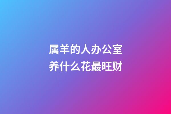 属羊的人办公室养什么花最旺财
