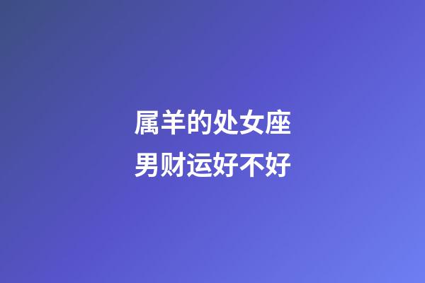 属羊的处女座男财运好不好-第1张-星座运势-玄机派