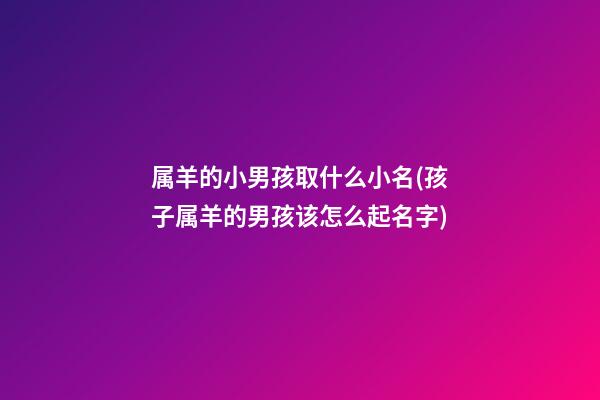 属羊的小男孩取什么小名(孩子属羊的男孩该怎么起名字)