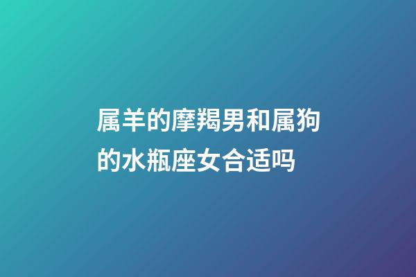 属羊的摩羯男和属狗的水瓶座女合适吗-第1张-星座运势-玄机派