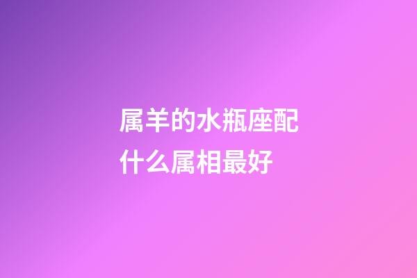 属羊的水瓶座配什么属相最好-第1张-星座运势-玄机派