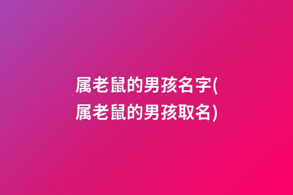 属老鼠的男孩名字(属老鼠的男孩取名)