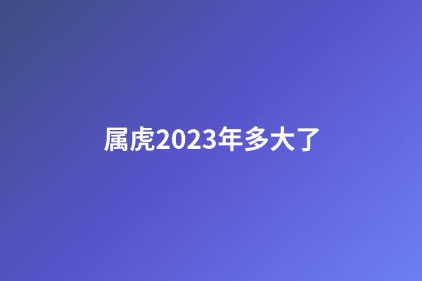 属虎2023年多大了