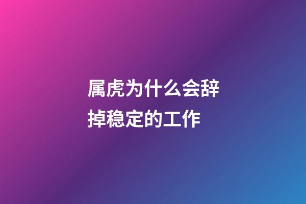 属虎为什么会辞掉稳定的工作