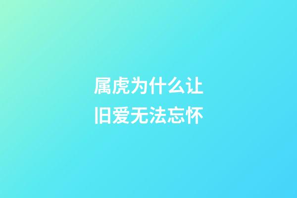 属虎为什么让旧爱无法忘怀
