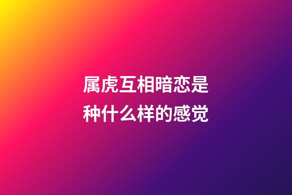属虎互相暗恋是种什么样的感觉
