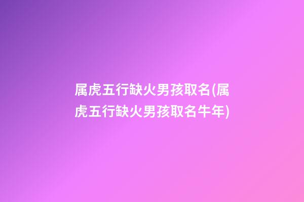 属虎五行缺火男孩取名(属虎五行缺火男孩取名牛年)
