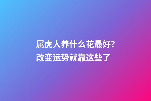 属虎人养什么花最好？改变运势就靠这些了